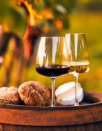 6 curiosidades sobre vinho que ainda não sabias