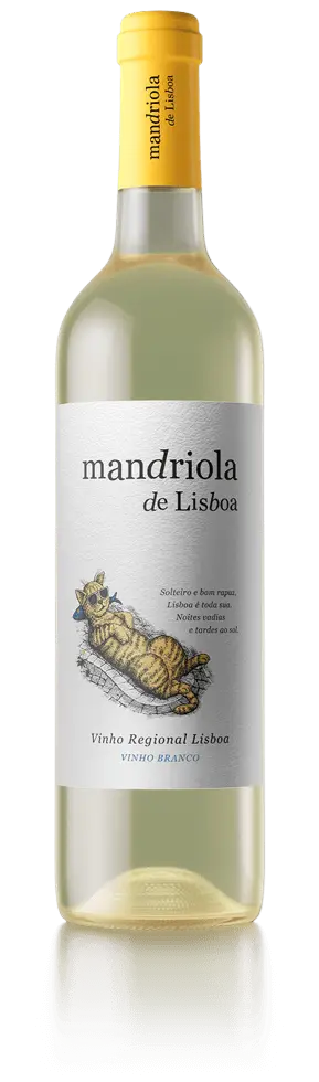 Mandriola Lisboa Vinho Branco White Wine