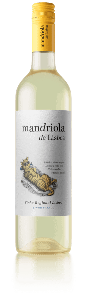 Mandriola Lisboa Weißwein